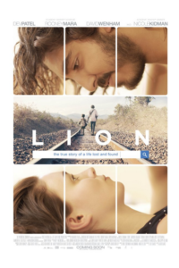 lion1